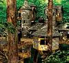 Click image for larger version. 

Name:	Concept Art Treehouse Village.jpg 
Views:	1915 
Size:	141.5 KB 
ID:	299